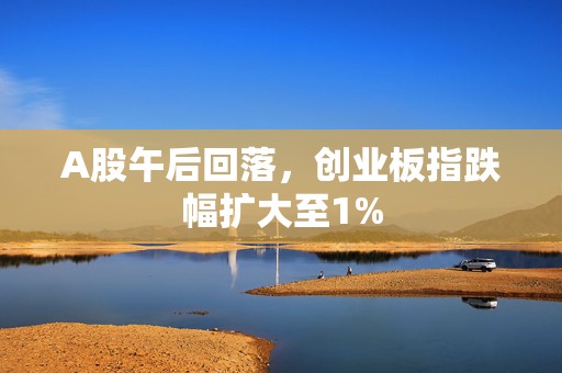 A股午后回落，创业板指跌幅扩大至1%