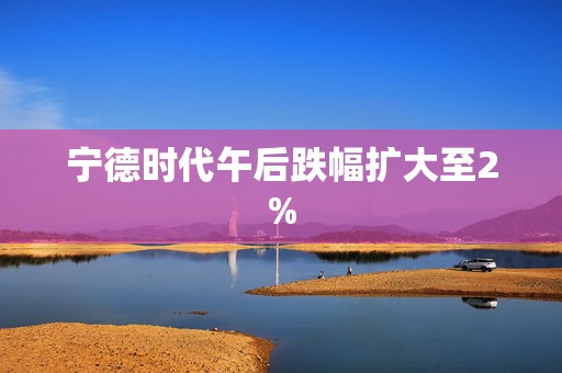 宁德时代午后跌幅扩大至2%