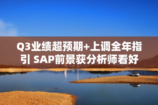 Q3业绩超预期+上调全年指引 SAP前景获分析师看好