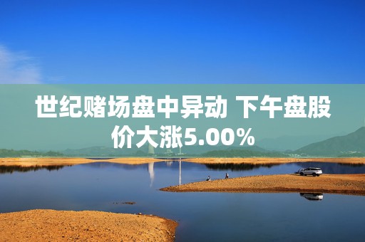 世纪赌场盘中异动 下午盘股价大涨5.00%