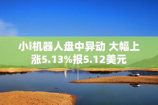 小i机器人盘中异动 大幅上涨5.13%报5.12美元