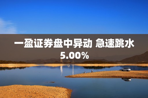 一盈证券盘中异动 急速跳水5.00%