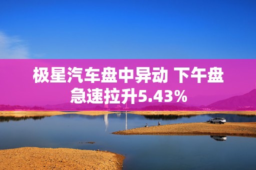 极星汽车盘中异动 下午盘急速拉升5.43%