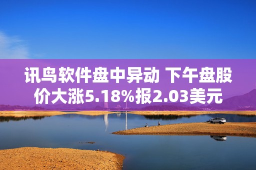 讯鸟软件盘中异动 下午盘股价大涨5.18%报2.03美元