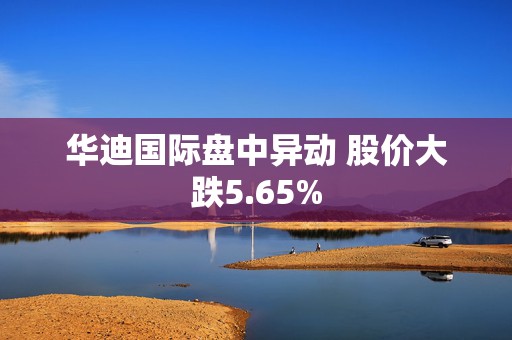 华迪国际盘中异动 股价大跌5.65%