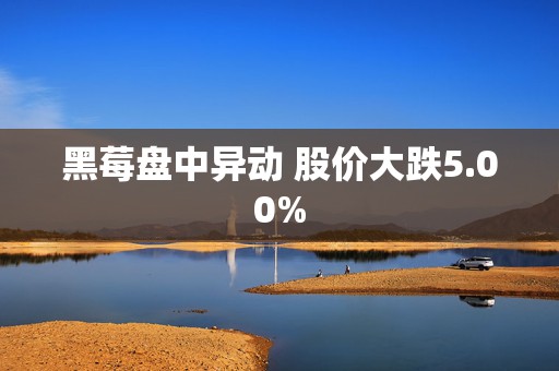 黑莓盘中异动 股价大跌5.00%