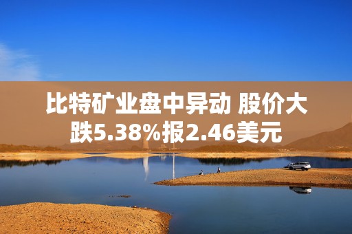 比特矿业盘中异动 股价大跌5.38%报2.46美元