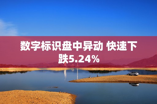 数字标识盘中异动 快速下跌5.24%