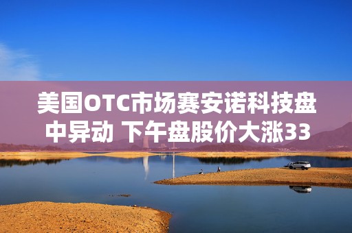 美国OTC市场赛安诺科技盘中异动 下午盘股价大涨33.20%