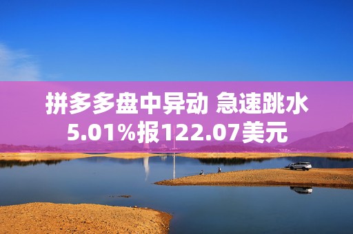 拼多多盘中异动 急速跳水5.01%报122.07美元