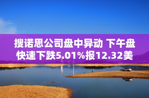 搜诺思公司盘中异动 下午盘快速下跌5.01%报12.32美元