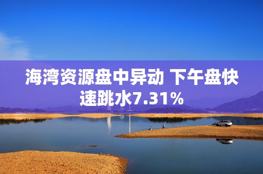 海湾资源盘中异动 下午盘快速跳水7.31%