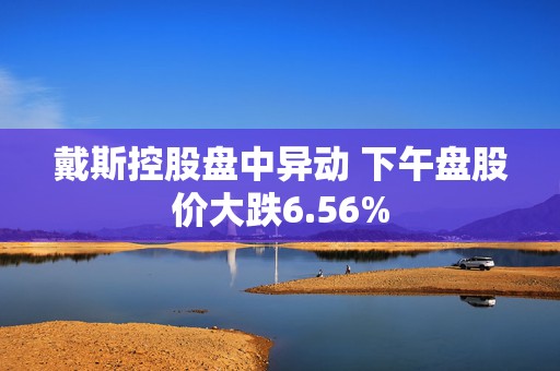 戴斯控股盘中异动 下午盘股价大跌6.56%