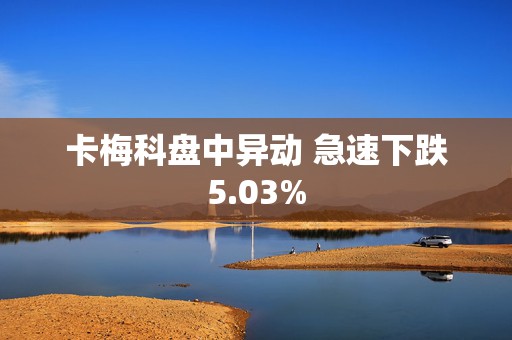 卡梅科盘中异动 急速下跌5.03%