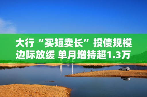 大行“买短卖长”投债规模边际放缓 单月增持超1.3万亿居机构首位