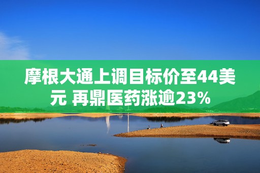 摩根大通上调目标价至44美元 再鼎医药涨逾23%