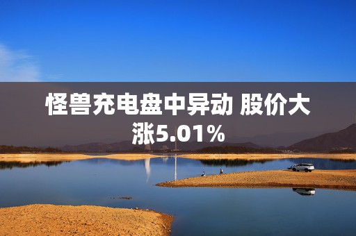 怪兽充电盘中异动 股价大涨5.01%