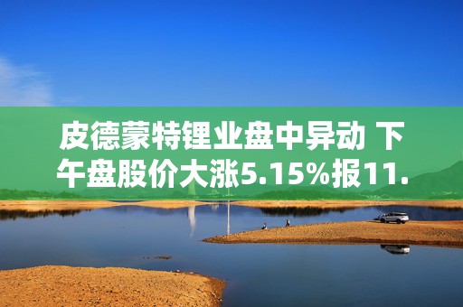 皮德蒙特锂业盘中异动 下午盘股价大涨5.15%报11.84美元