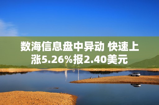 数海信息盘中异动 快速上涨5.26%报2.40美元