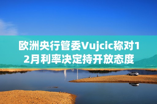 欧洲央行管委Vujcic称对12月利率决定持开放态度