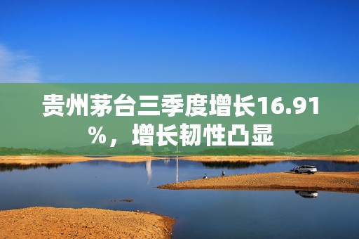 贵州茅台三季度增长16.91%，增长韧性凸显