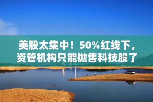 美股太集中！50%红线下，资管机构只能抛售科技股了