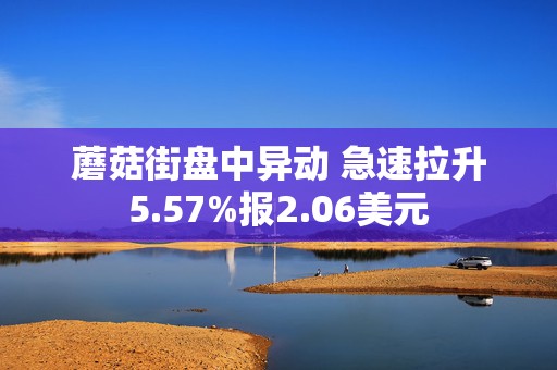 蘑菇街盘中异动 急速拉升5.57%报2.06美元