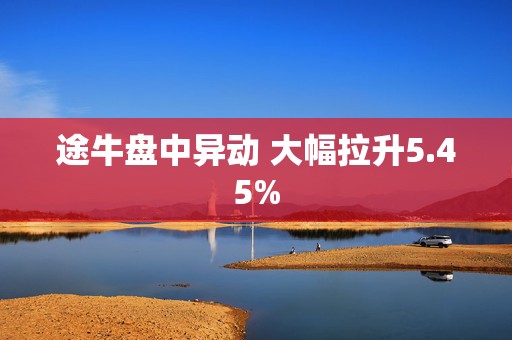 途牛盘中异动 大幅拉升5.45%