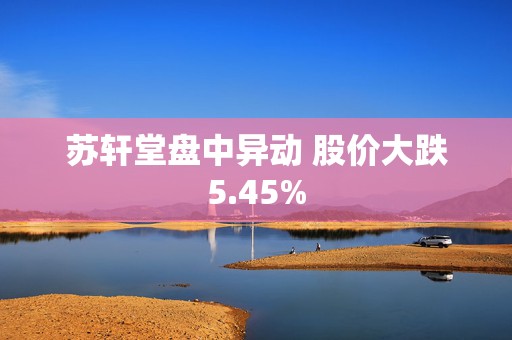 苏轩堂盘中异动 股价大跌5.45%