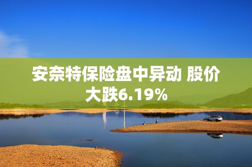 安奈特保险盘中异动 股价大跌6.19%