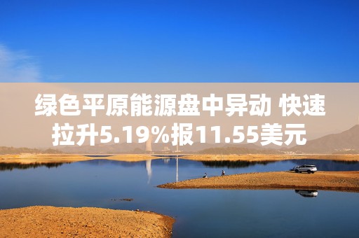 绿色平原能源盘中异动 快速拉升5.19%报11.55美元