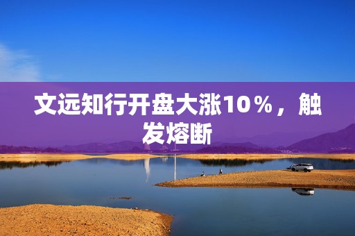 文远知行开盘大涨10％，触发熔断