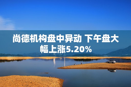 尚德机构盘中异动 下午盘大幅上涨5.20%