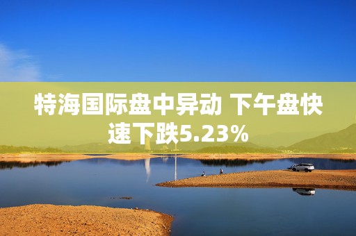 特海国际盘中异动 下午盘快速下跌5.23%