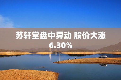 苏轩堂盘中异动 股价大涨6.30%