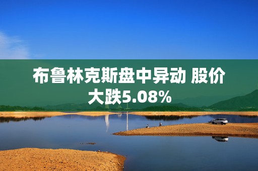 布鲁林克斯盘中异动 股价大跌5.08%