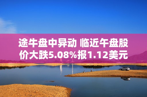 途牛盘中异动 临近午盘股价大跌5.08%报1.12美元