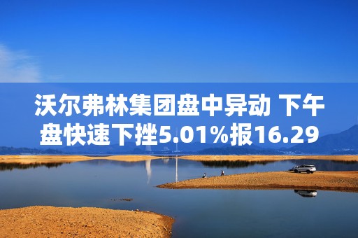 沃尔弗林集团盘中异动 下午盘快速下挫5.01%报16.29美元