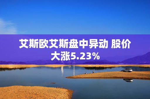 艾斯欧艾斯盘中异动 股价大涨5.23%