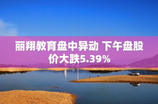 丽翔教育盘中异动 下午盘股价大跌5.39%