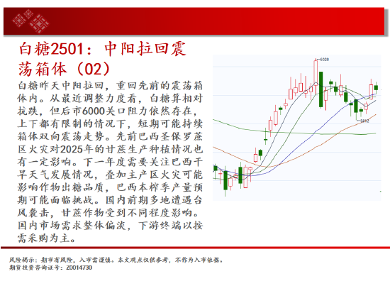 中天期货:棕榈冲高回落 纸浆区间震荡